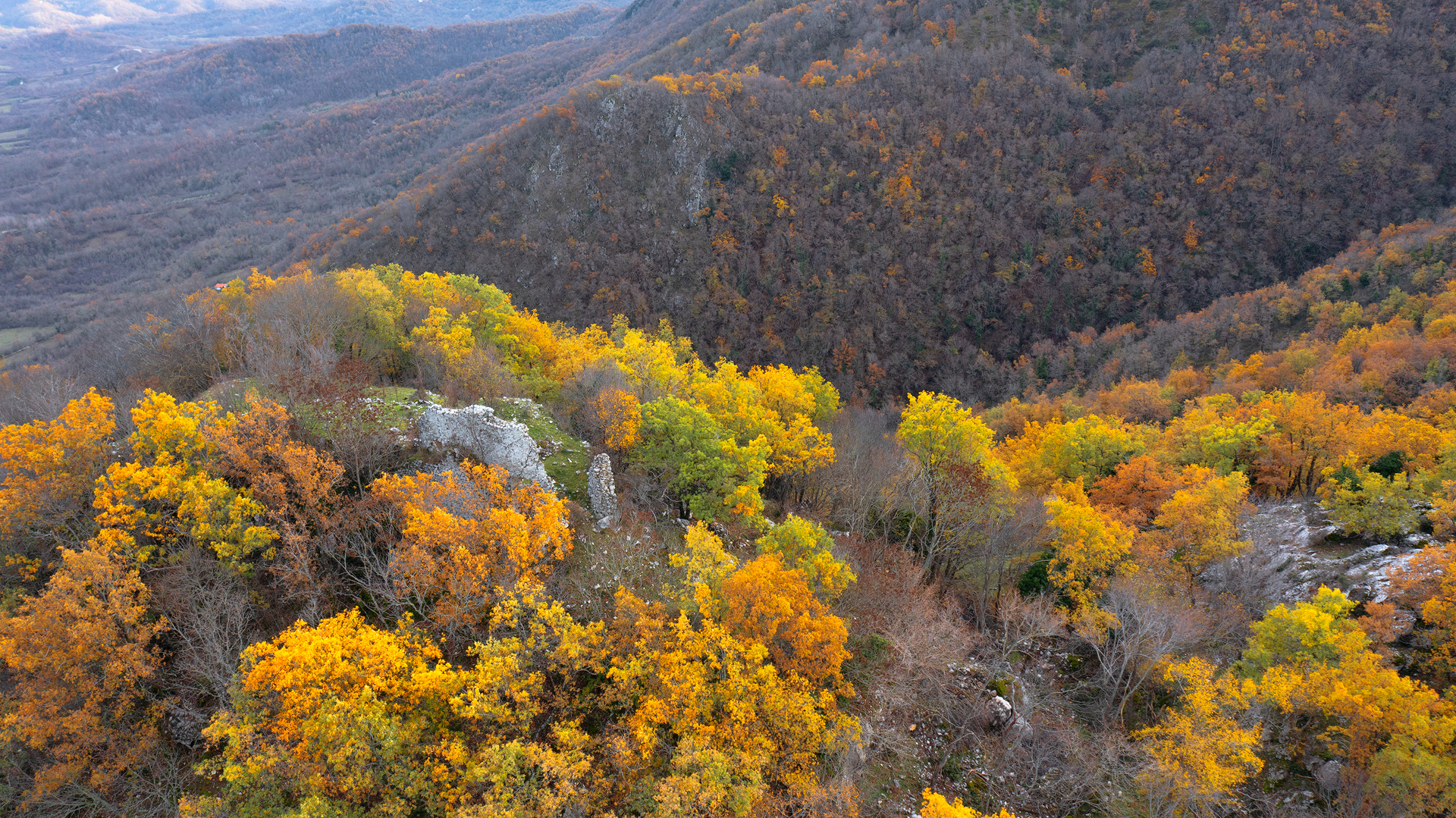 DJI_0341_1920