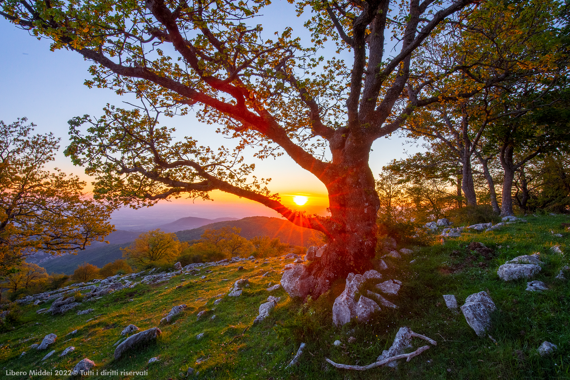 _MG_8864-HDR-1-1920