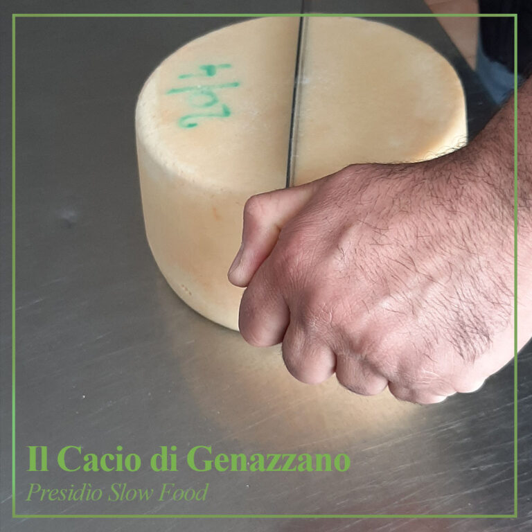 Il Cacio di Genazzano