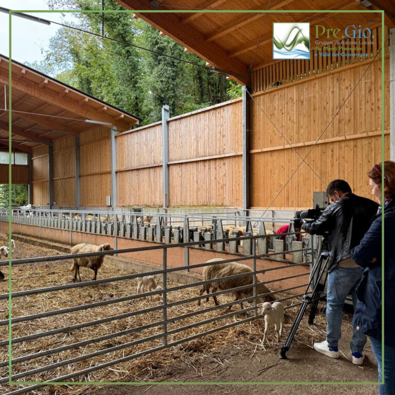 Stalla per il ricovero delle pecore dell'Azienda Agrituristica "Oca Bianca"