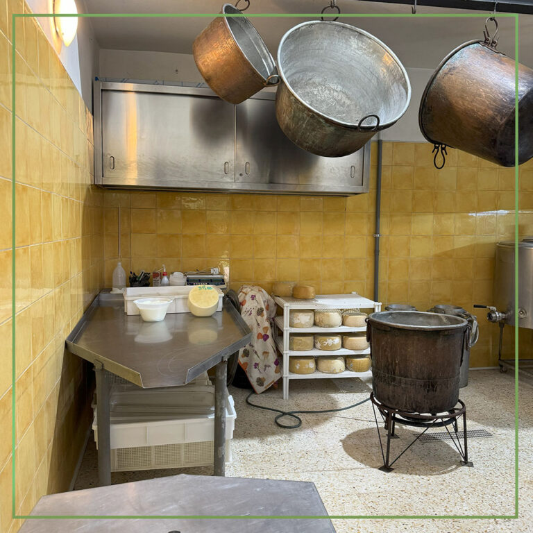 Laboratorio tradizionale dell'Azienda Agrituristica "Oca Bianca"