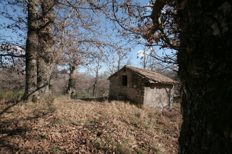 Capranica (52)