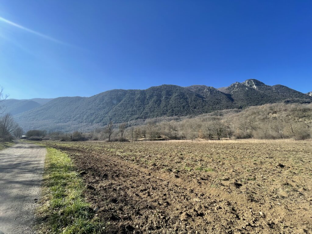 image00019