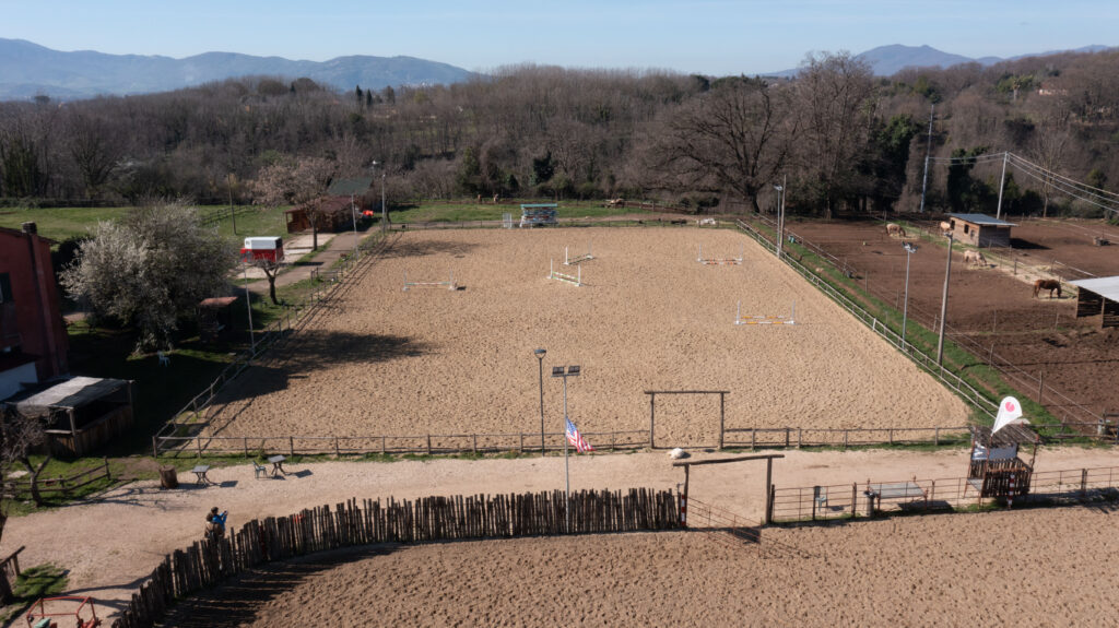 DJI_0320