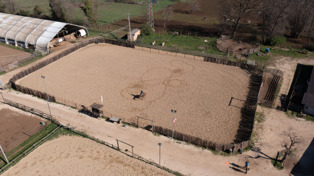 DJI_0358