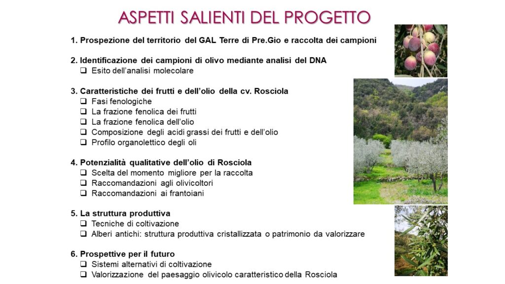 Diapositiva1