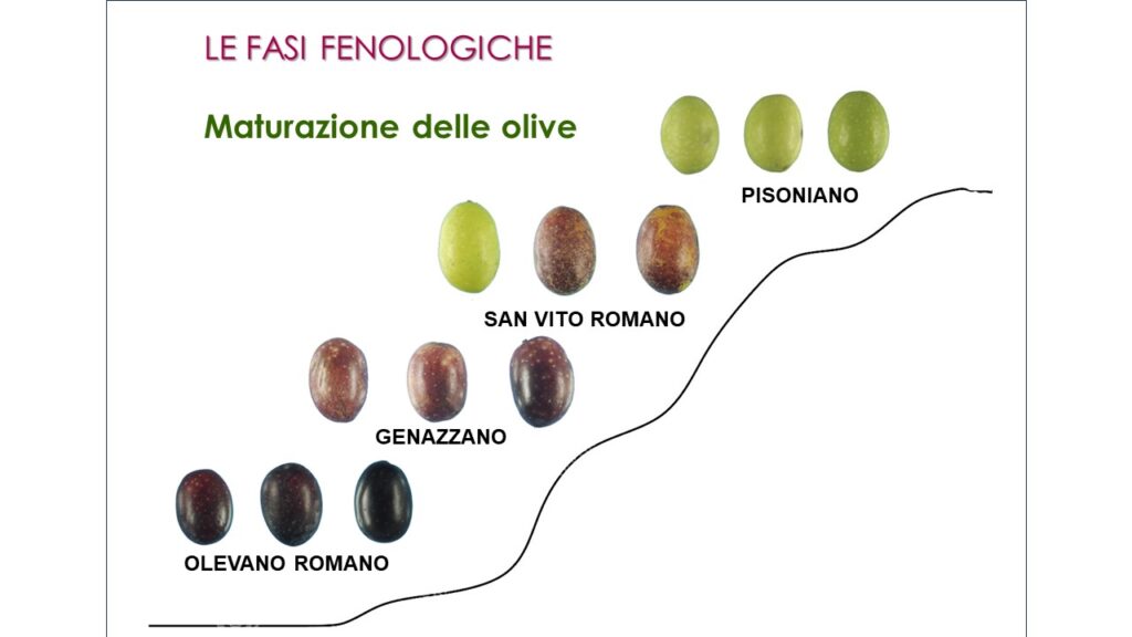 Slide 10