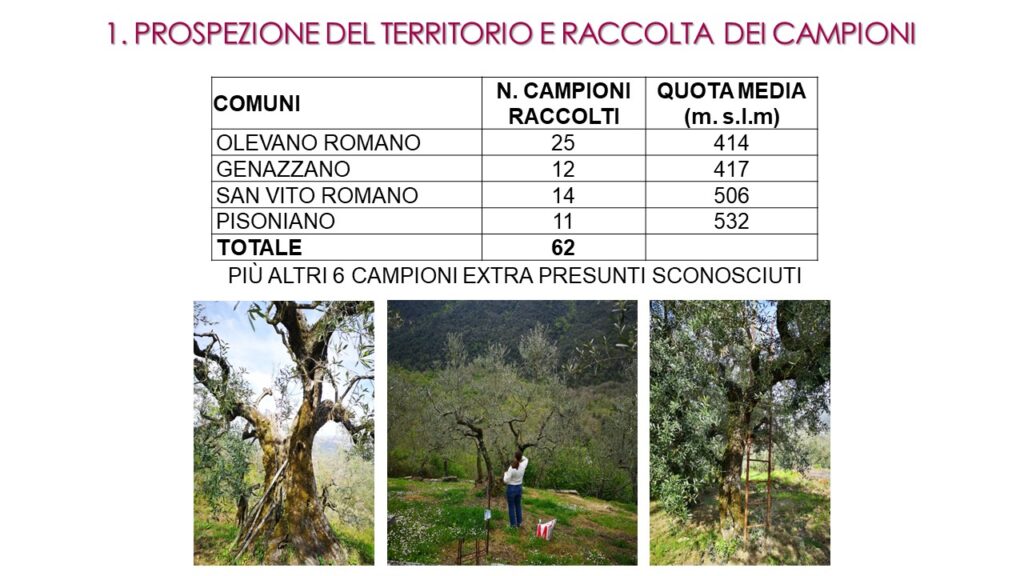 Slide 3