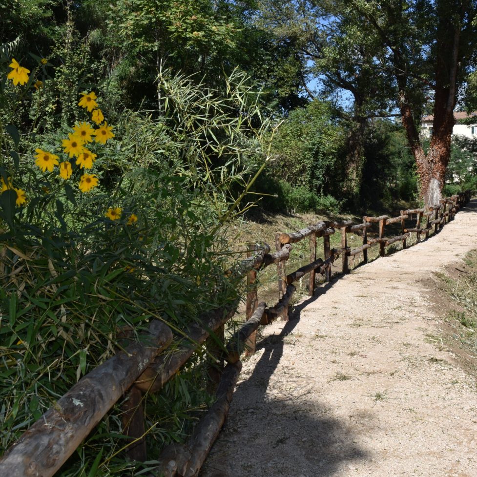 DSC_9703